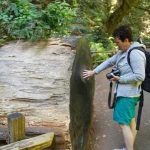 From San Francisco Guided Tour to Muir Woods Coastal Redwoods (1)