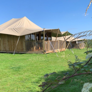 Luxury Glamping and Safari Tents (2)