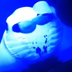 Manta Ray Night Snorkeling Adventure in Kailua-Kona