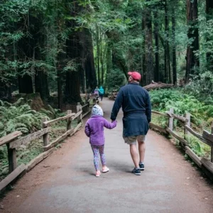 San Francisco Super Saver Muir Woods & Wine Country w optional Gourmet Lunch (1)