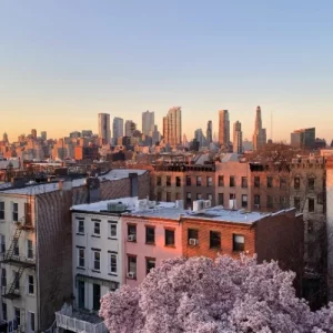 Uncover New York's Best Kept Secrets