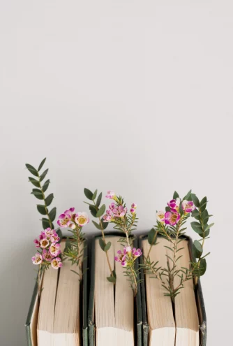 Untitled design (1)