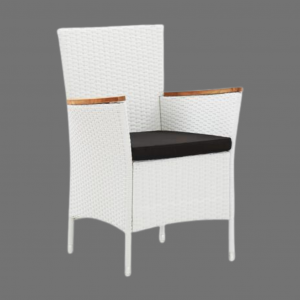 Untitled design - 2025-05-09T123301.713