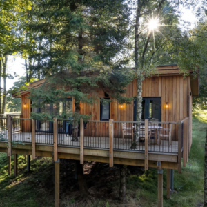 Woodland Lodges with Outdoor Activities (1)