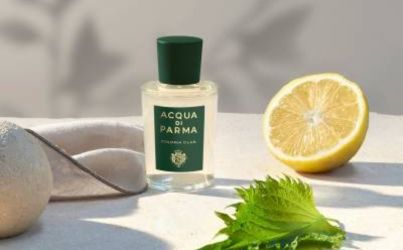 Untitled design - 2025-04-29T134847.333